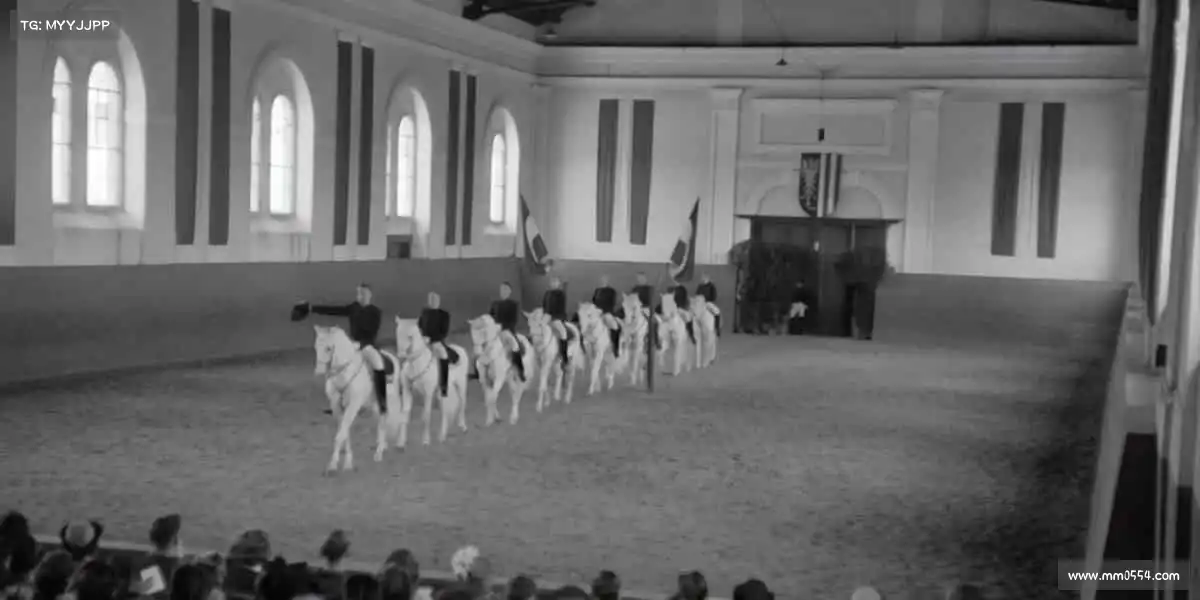 <strong>国产免费观看高清电视剧的软件有哪些入口</strong>平衡艺术质感与市场价值，匠心打造叫好又叫座的影视精品🔥